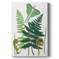 Fern Fantasy Garden I - Canvas Art Print