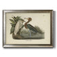 Audubons Reddish Egret Premium Framed Canvas- Ready to Hang