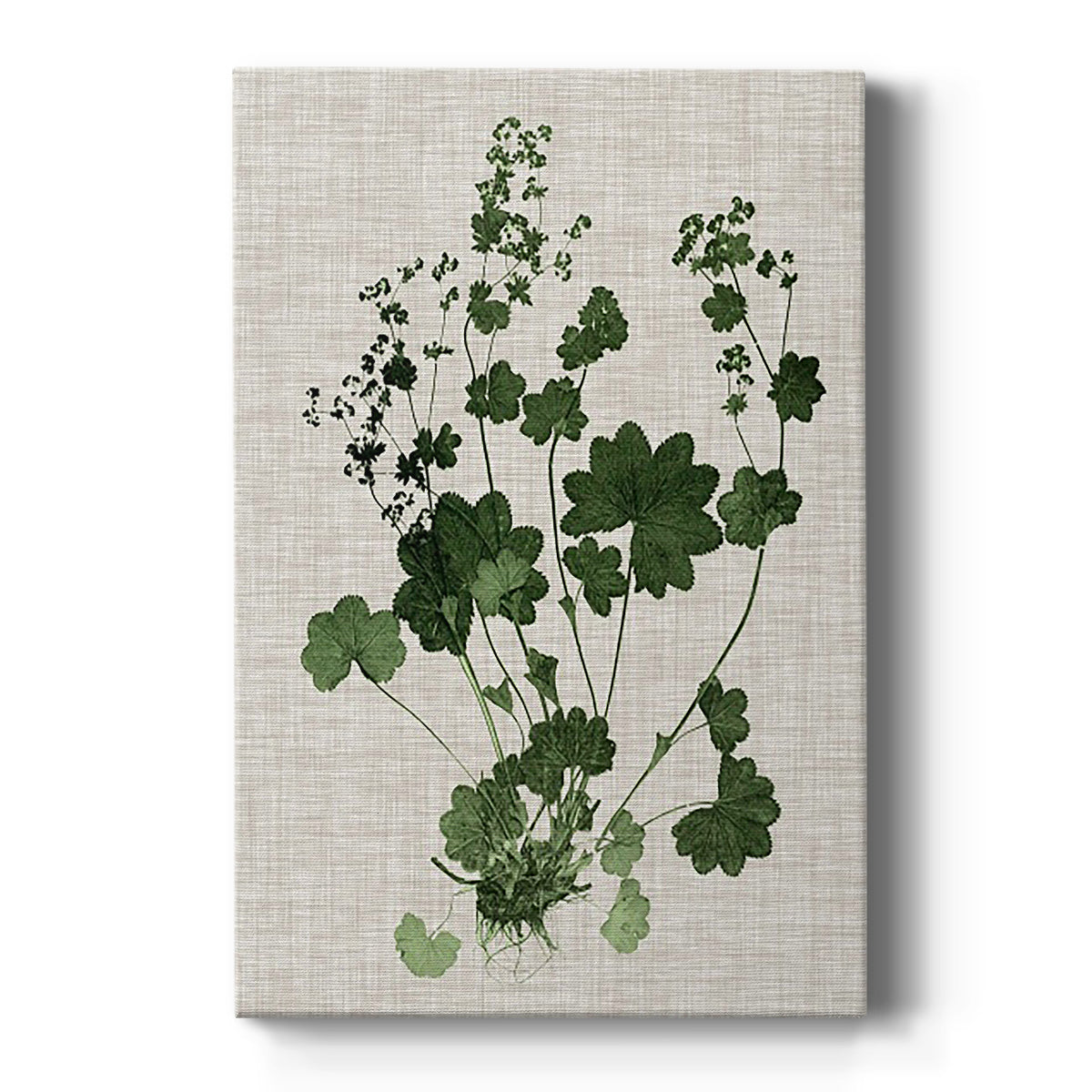 Forest Foliage on Linen III Premium Gallery Wrapped Canvas - Ready to Hang