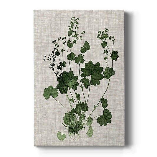 Forest Foliage on Linen III - Canvas Art Print