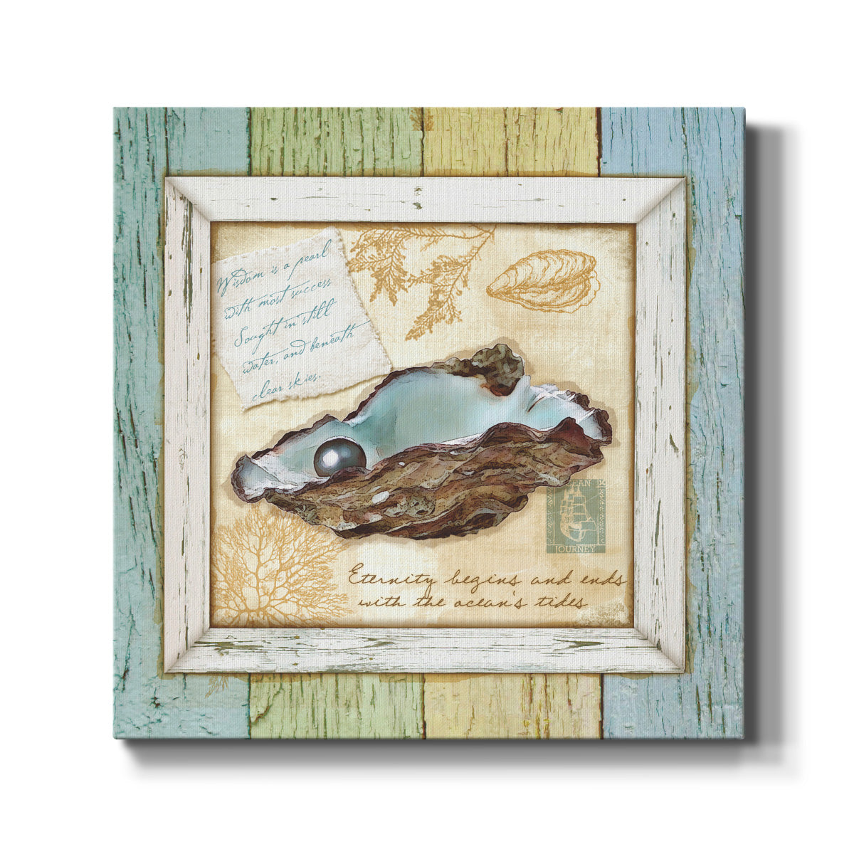 Sea Treasures IX-Premium Gallery Wrapped Canvas - Ready to Hang