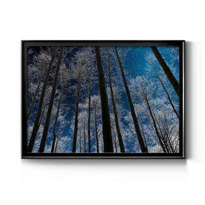 Night Silhouette - Modern Framed Canvas Print