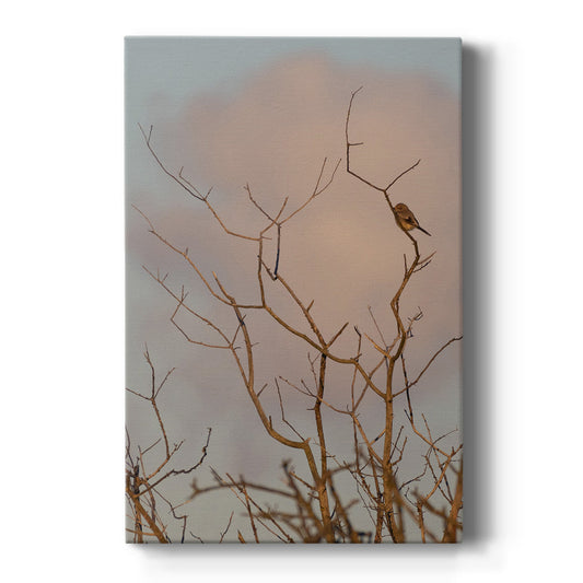 At Dawn - Canvas Art Print