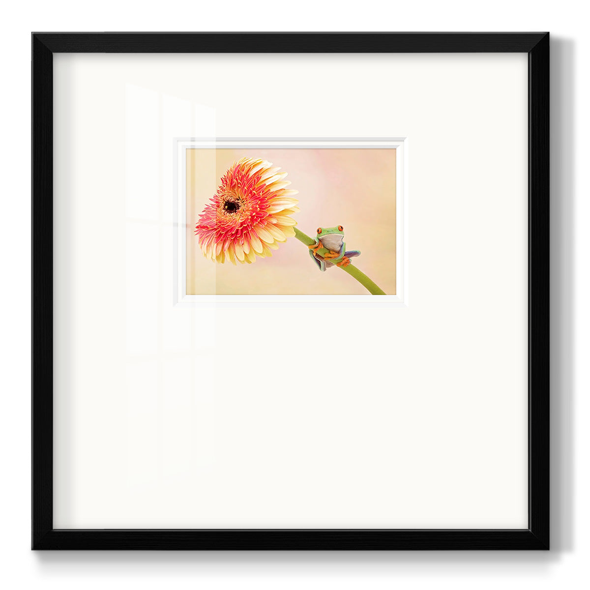 Hanging On IX - Double Matboard Framed Print