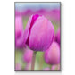 Magenta Stem - Framed Premium Gallery Wrapped Canvas L Frame - Ready to Hang