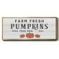 Farm Fresh Pumpkins - Floater Framed Canvas Print