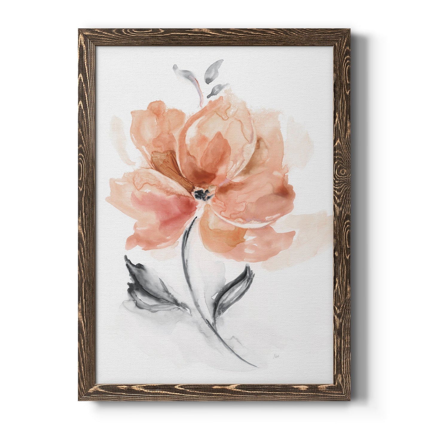 Soft Sensation I - Barnwood Framed Canvas Print