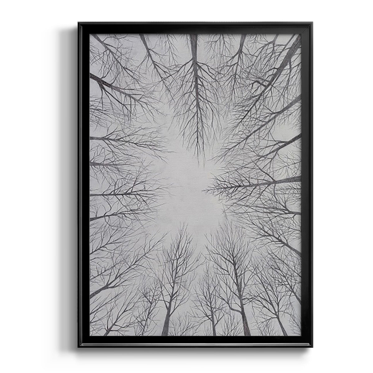 Deciduous Canopy I - Modern Framed Canvas Print
