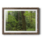 Calm of the Forest - Barnwood Framed Art Print