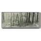 Into the Woods II - Floater Framed Canvas Print