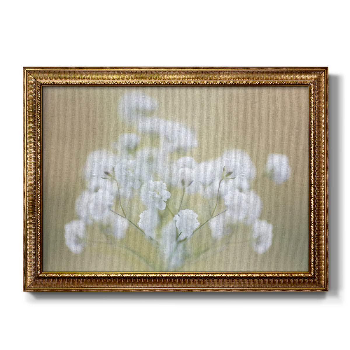 Baby's Breath Study I Premium Framed Canvas- Ready to Hang