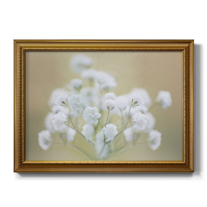 Baby's Breath Study I Premium Framed Canvas- Ready to Hang