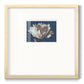 White Peony - Double Matboard Framed Print