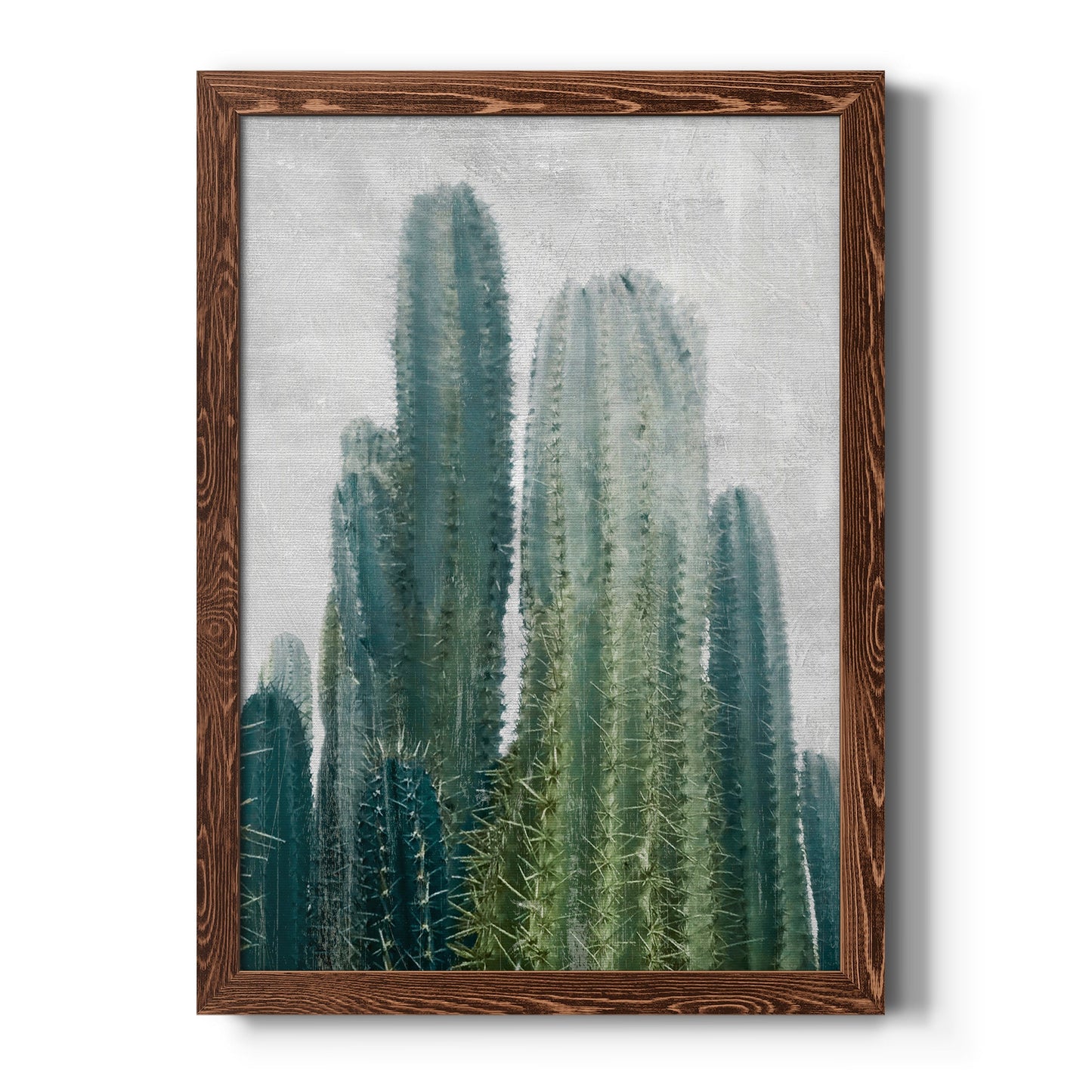 Aruba Cacti II - Barnwood Framed Canvas Print