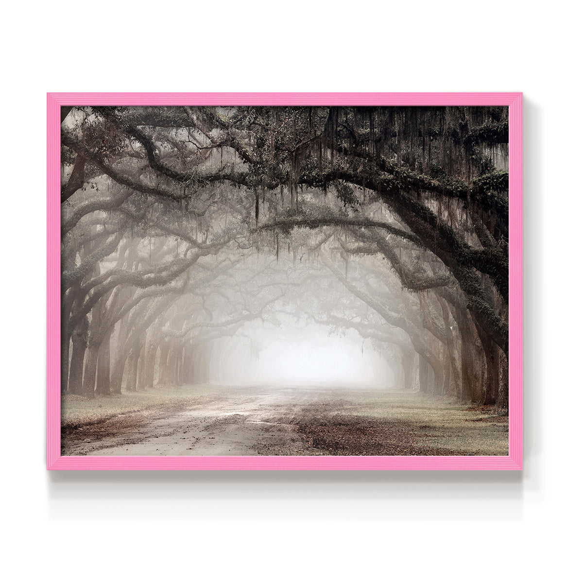 Timeless Plantation Drive - Restickable Framed Art Print