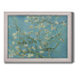 Impressionist flowering almond branch painting by Vincent van Gogh printed on canvas in an ornate weathered white frame.