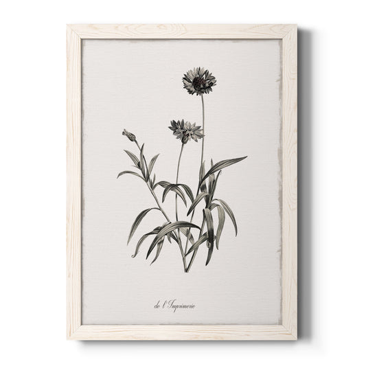 Sketchbook Imperial - Barnwood Framed Canvas Print