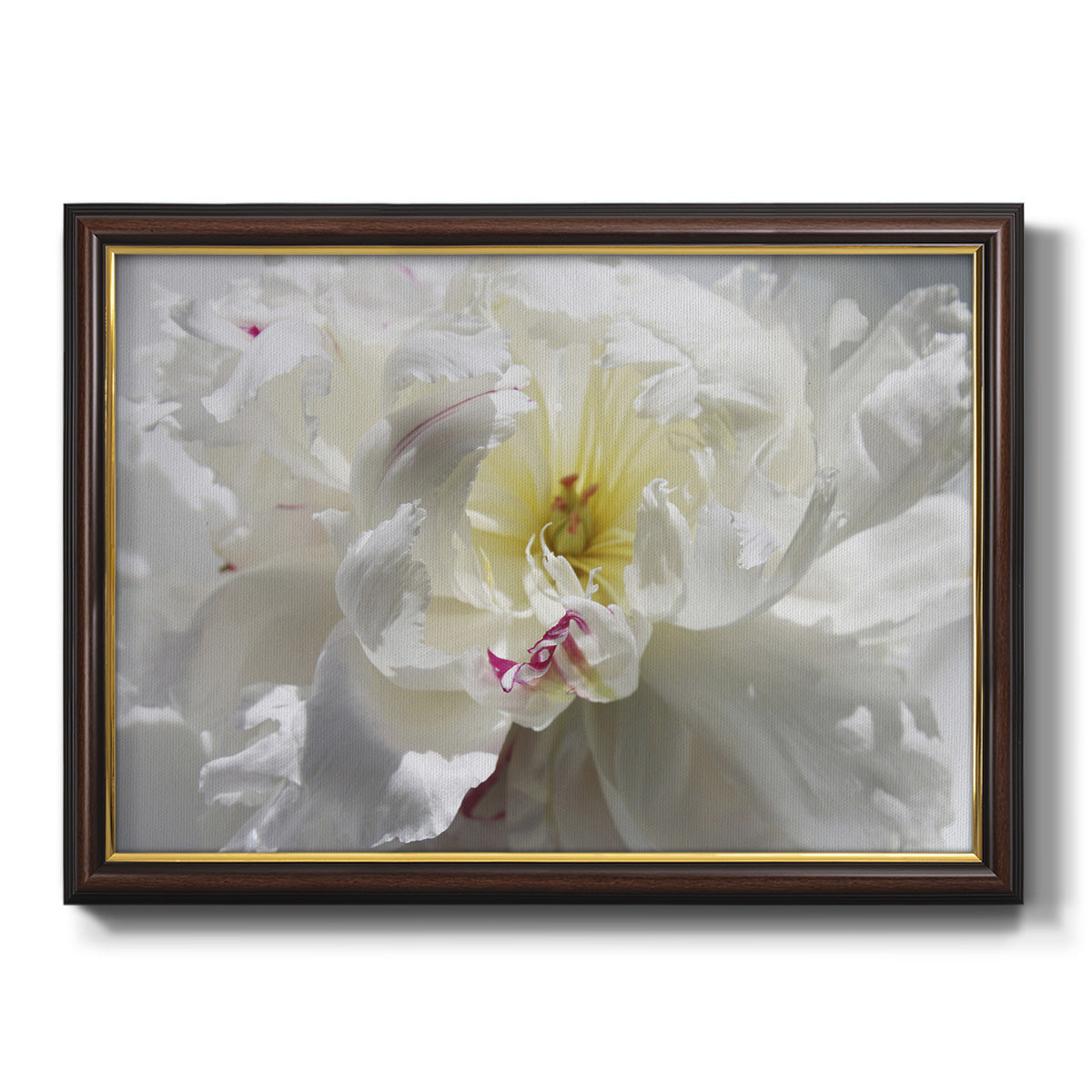 Breathless III Premium Framed Canvas- Ready to Hang