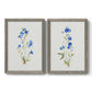 Petite Blue I - Premium Framed Canvas 2 Piece Set - Ready to Hang