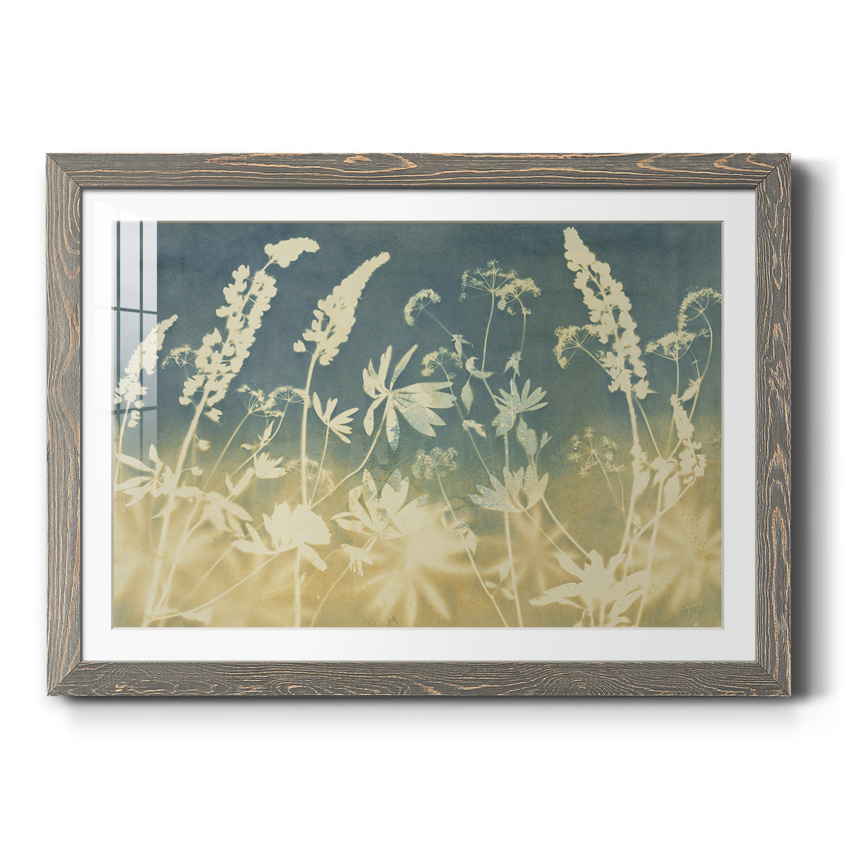 Solstice Lupine - Barnwood Framed Art Print