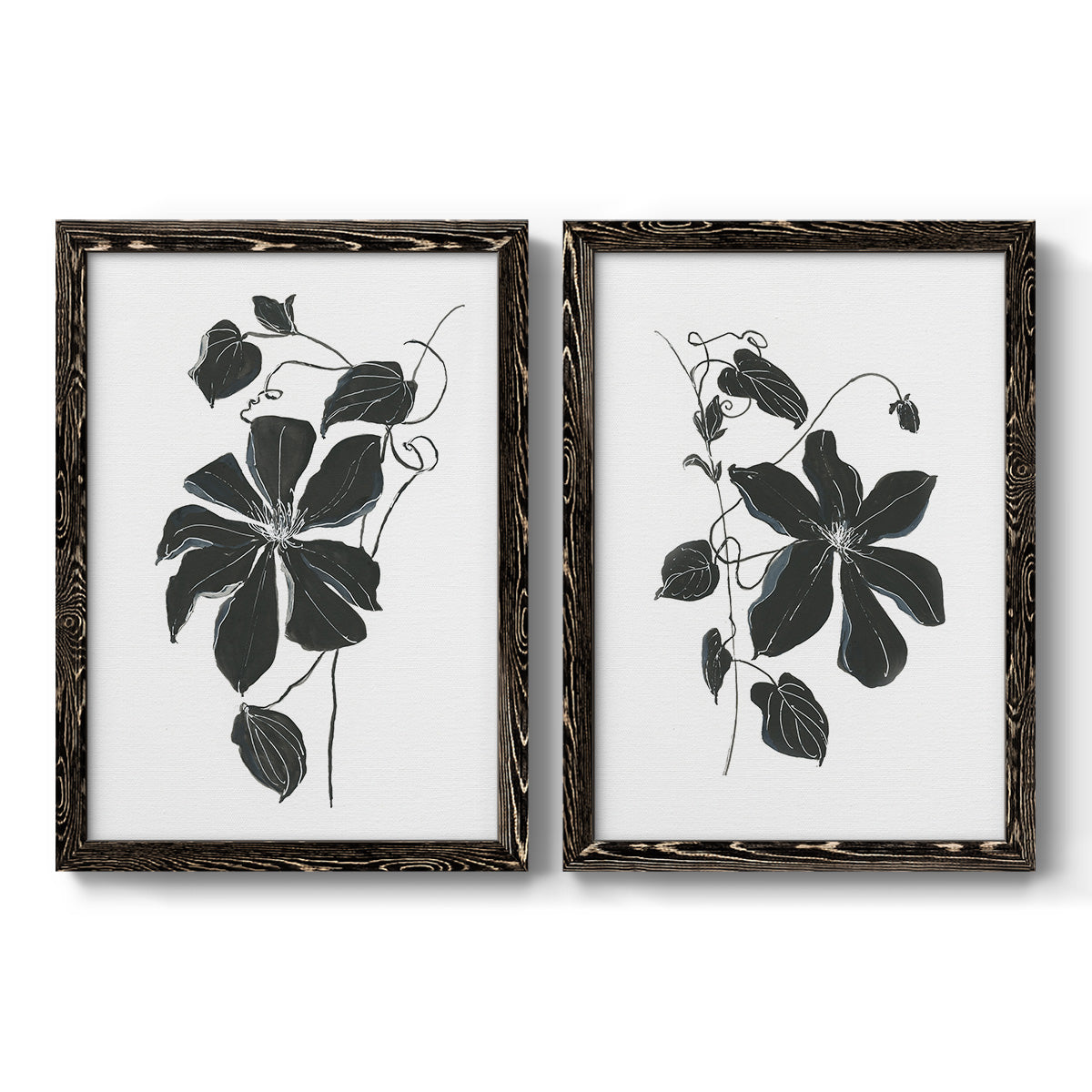 Set of two black barnwood framed canvas prints featuring two minimalist botanical prints featuring black leafy vine silhouettes.