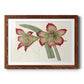 Amaryllis Varietals IV-Premium Framed Print - Ready to Hang