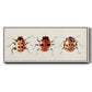 Ladybug Display II - Floater Framed Canvas Print