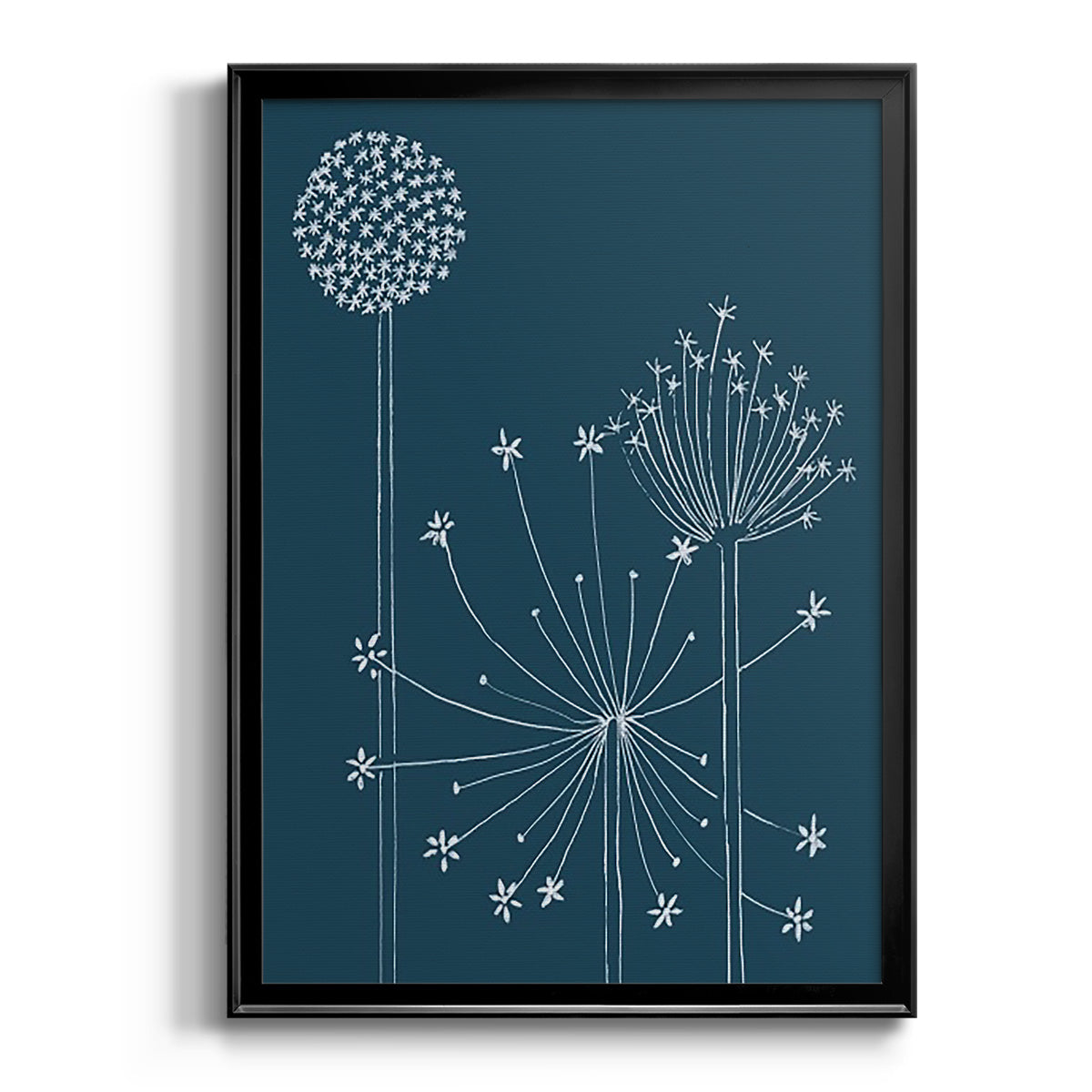 Graphic Alliums I - Modern Framed Canvas Print