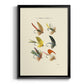 Bass Flies I - Modern Framed Canvas Print