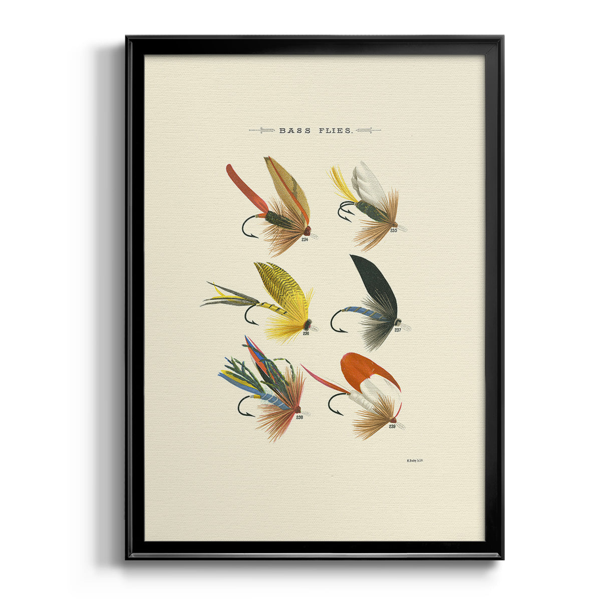 Bass Flies I - Modern Framed Canvas Print