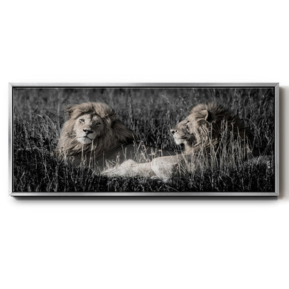 Mara Lions - Floater Framed Canvas Print