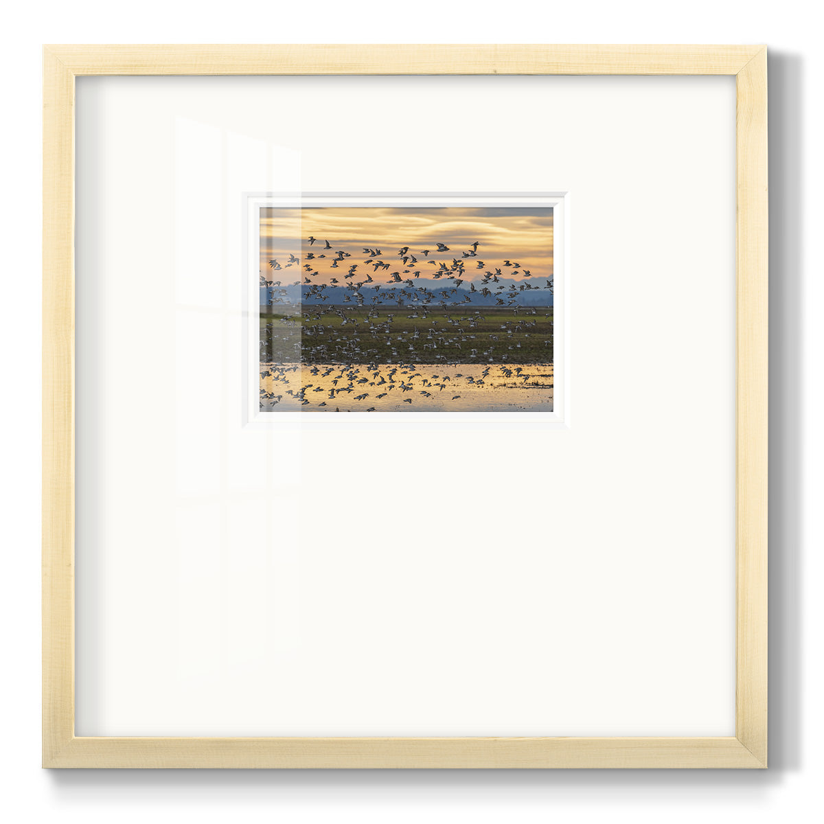 Sunset Flight Premium Framed Print Double Matboard