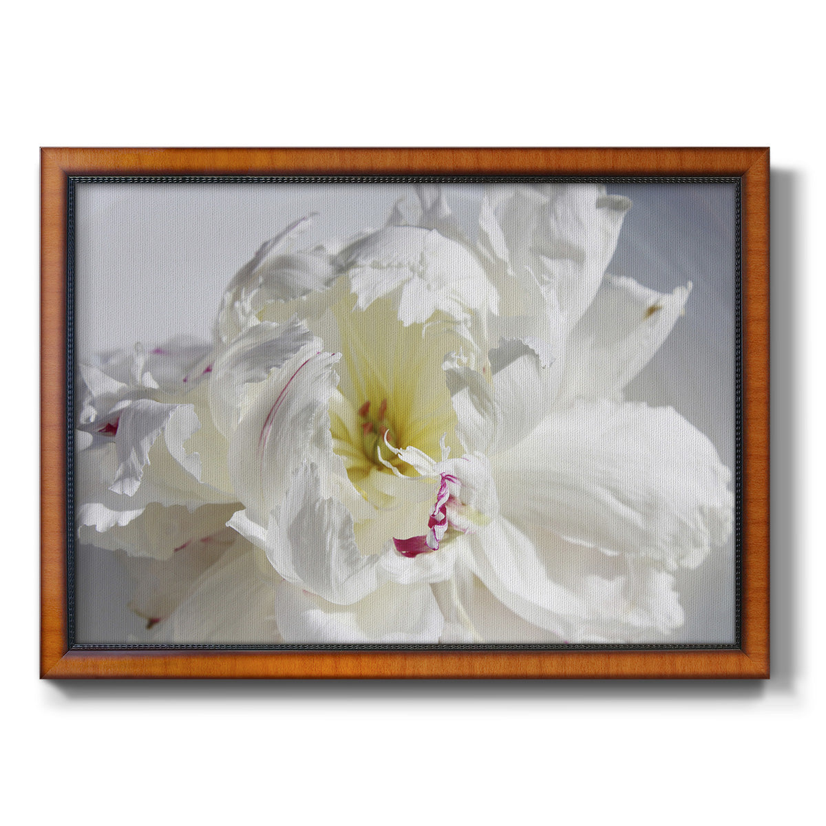 Breathless IV - Ornate Framed Canvas Print
