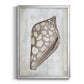 Ocean Cone I - Modern Framed Canvas Print