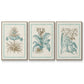 Willow Blue Besler I - Floater Framed Canvas Set