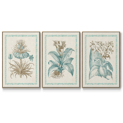 Willow Blue Besler I - Floater Framed Canvas Set
