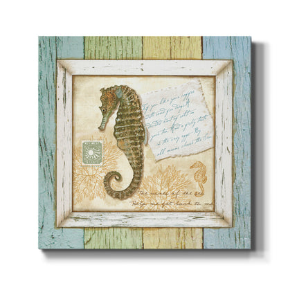 Sea Treasures X - Canvas Art Print