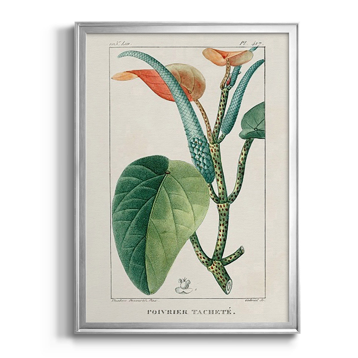 Turpin Tropical Botanicals II - Modern Framed Canvas Print