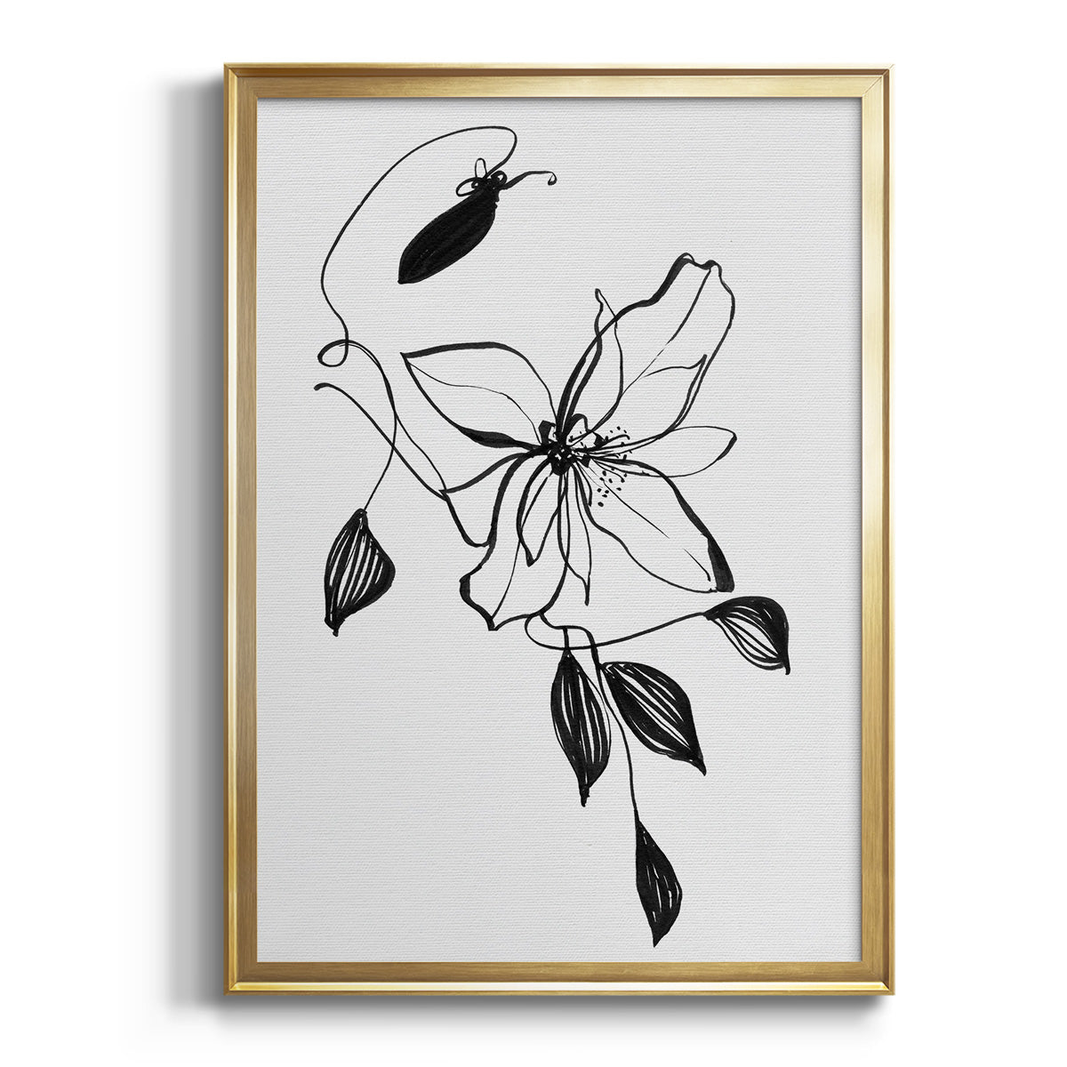 Wild Clematis I - Modern Framed Canvas Print