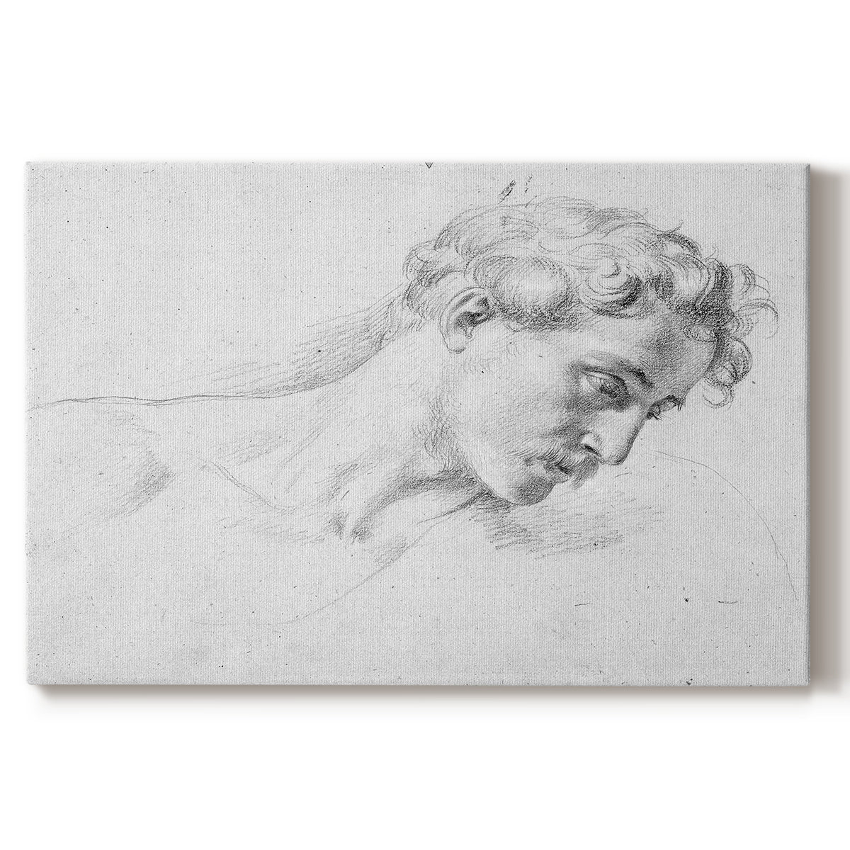 portrait,sketch,young man,curly hair,contemplation,soft shading,line drawing,expressive,detailed,drawing,pencil art,hairstyle,mood,facial expression,head study,artisanal techniques,male figure,classic art,emotional depth,shading techniques,fine art,inspiration,creativity,traditional drawing,visual art,aesthetic,character study,monochrome,portraiture,subtle details,expressionist art,human form,chiaroscuro,figure drawing