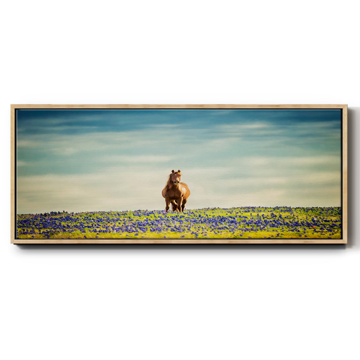 Sunlit Midwest II - Floater Framed Canvas Print