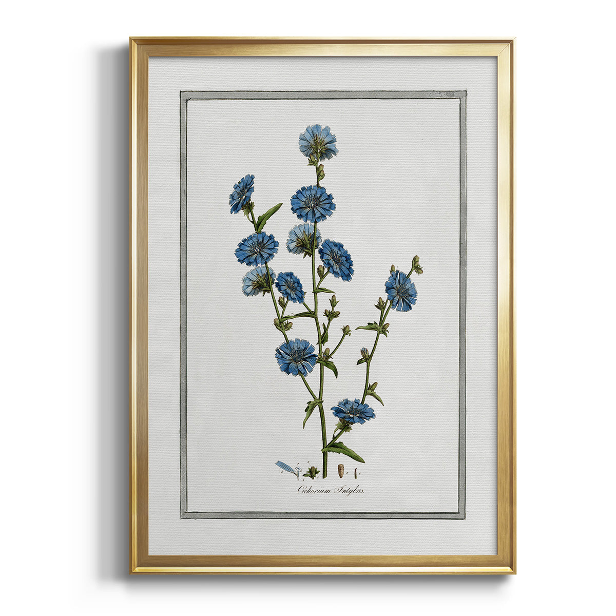 Soft Botanical I - Modern Framed Canvas Print