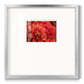 Spring Fire - Double Matboard Framed Print