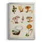 Mushroom Species VI - Modern Framed Canvas Print