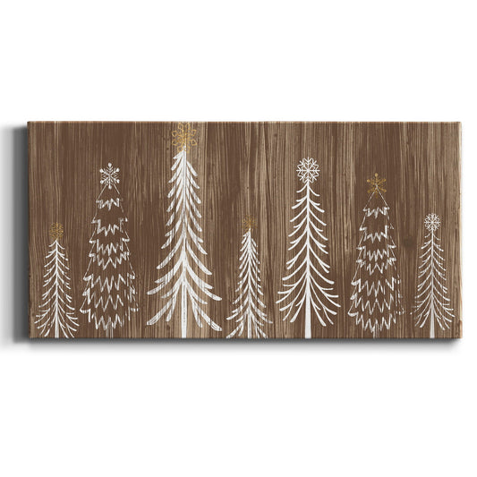 Barnwood Wonderland Collection D+ Premium Gallery Wrapped Canvas - Ready to Hang