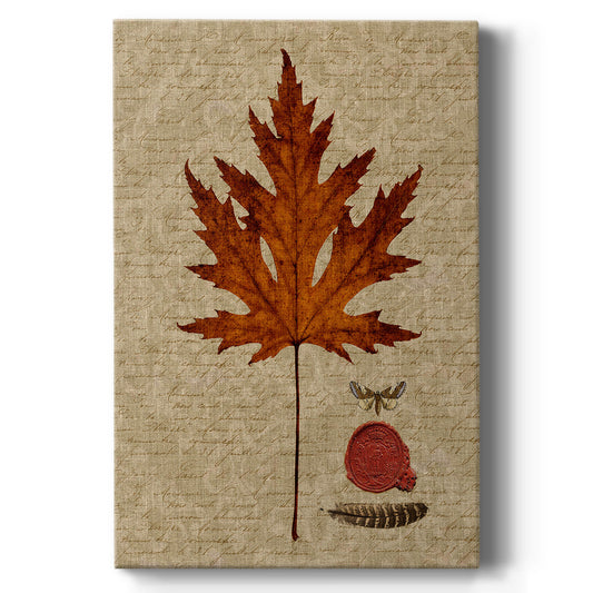 Autumn Leaf I Premium Gallery Wrapped Canvas - Ready to Hang