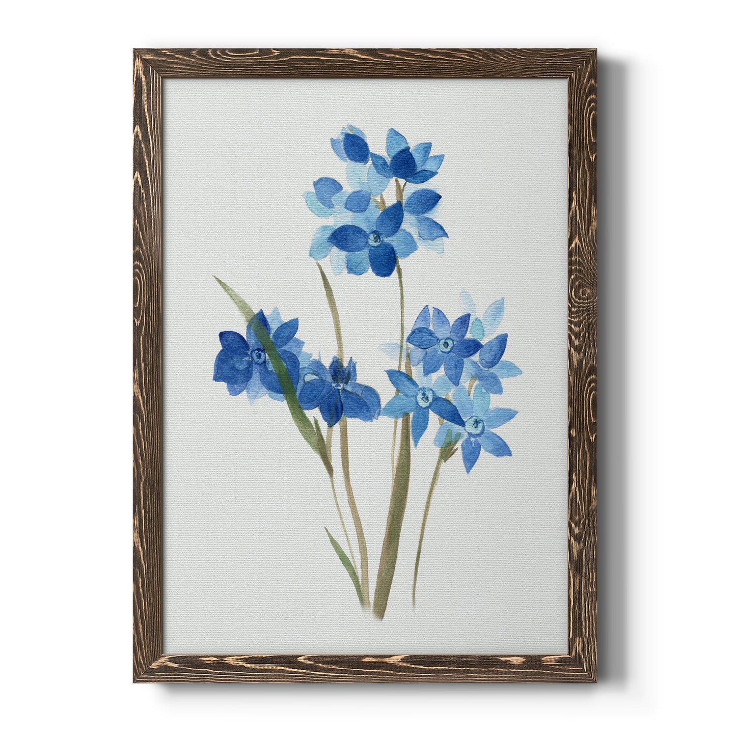 Blue Blossom Botanical I - Barnwood Framed Canvas Print