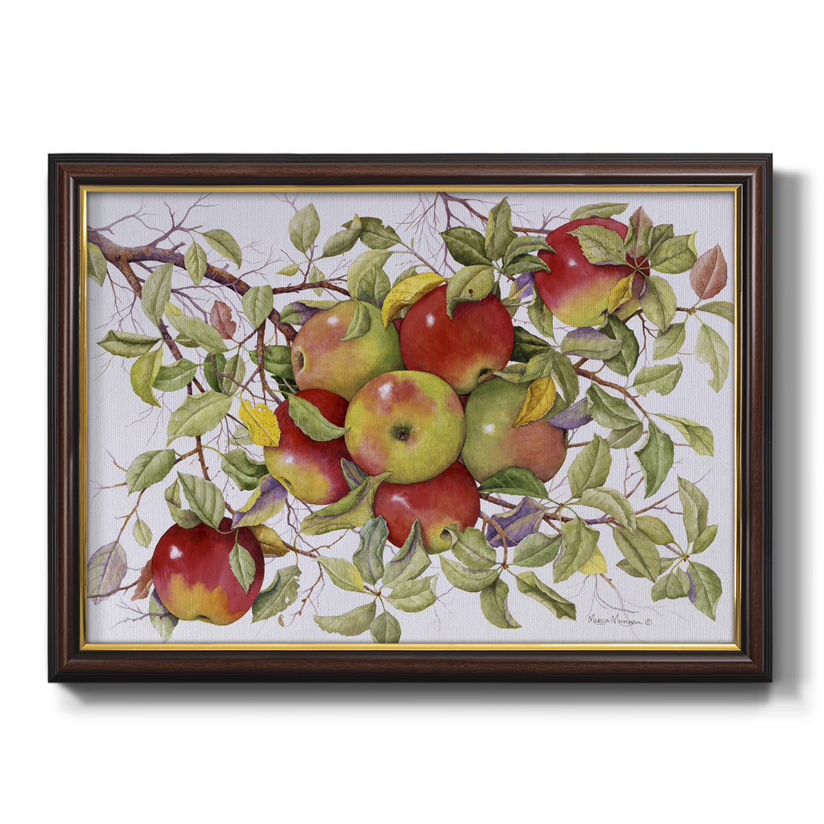 Apples Premium Framed Canvas- Ready to Hang