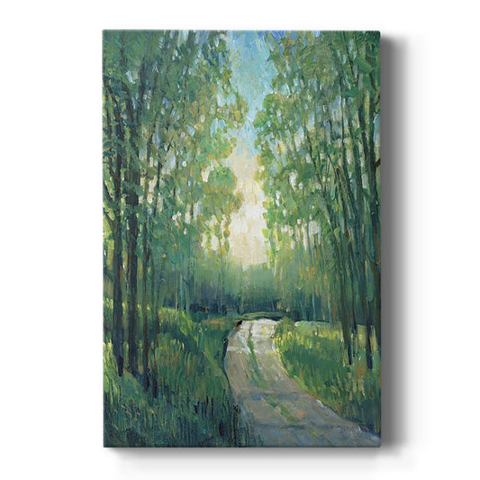 Golden Light Pathways II - Canvas Art Print