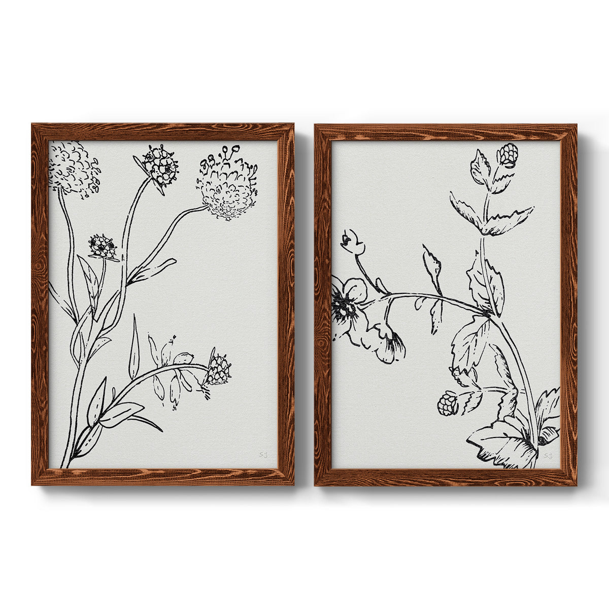 Botanical Study I   - Premium Framed Canvas 2 Piece Set - Ready to Hang